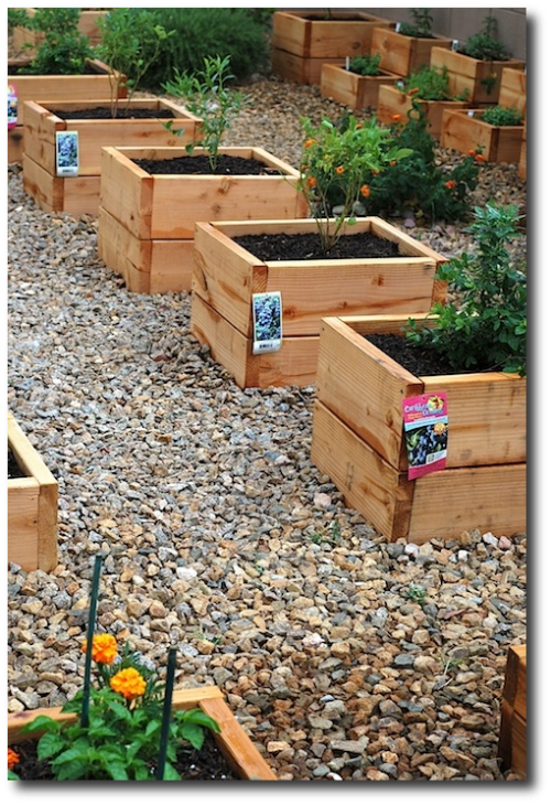 mini raised beds, perfect for herbs to keep them from going crazy wild