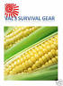 Freeze Dried Sweet Corn Survival Food ~ 1 Can
