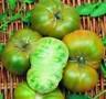 EVERGREEN HEIRLOOM TOMATO 25 SEEDS FRIED GREEN TOMATOS