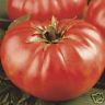 MORTGAGE LIFTER HEIRLOOM TOMATO SEEDS 1-2 LB TOMATOES
